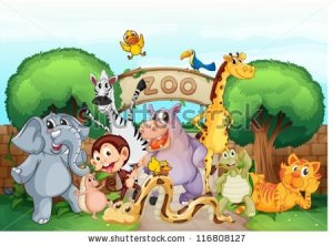 stock-vector-illustration-of-a-zoo-and-the-animals-in-a-beautiful-nature-116808127